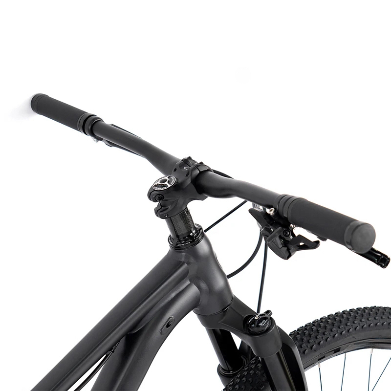 27.5 or 29 Inch 13 Speed Alumi - Mountain Biking Jumps ulasan dan harga